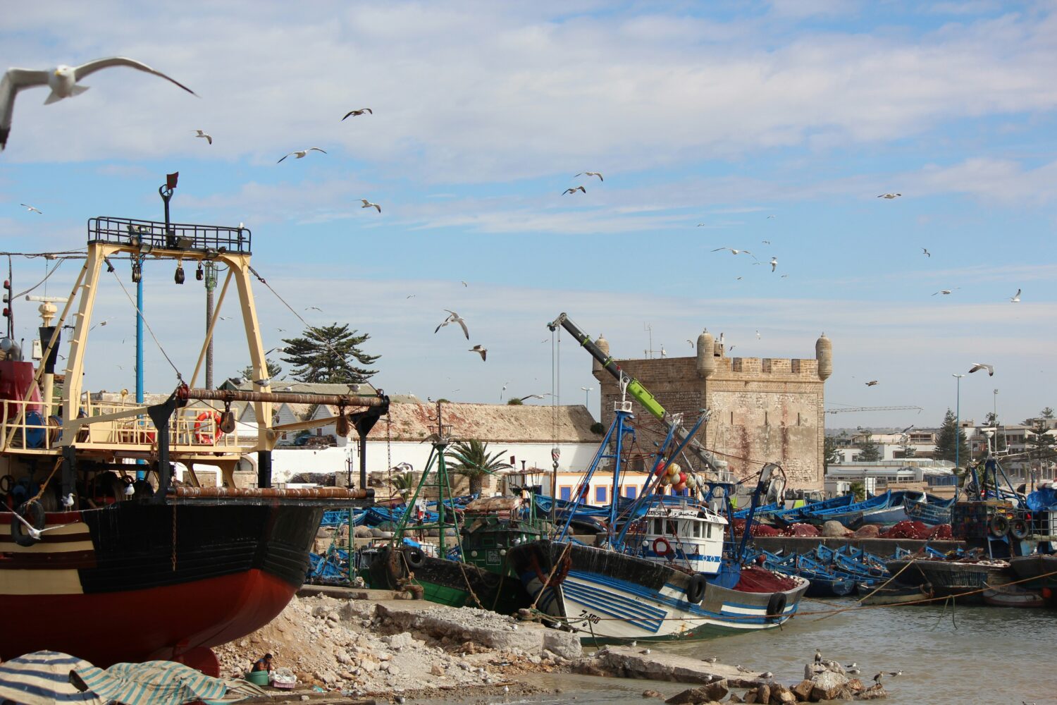 Pravet Marrakech to Essaouira Day Trip