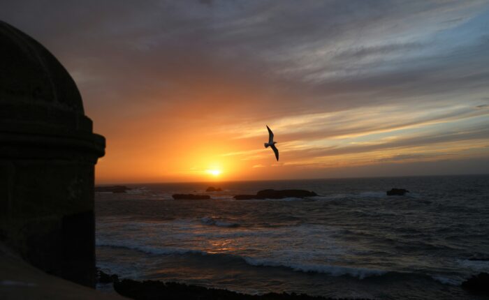 Essaouira to Marrakech Private Transfer