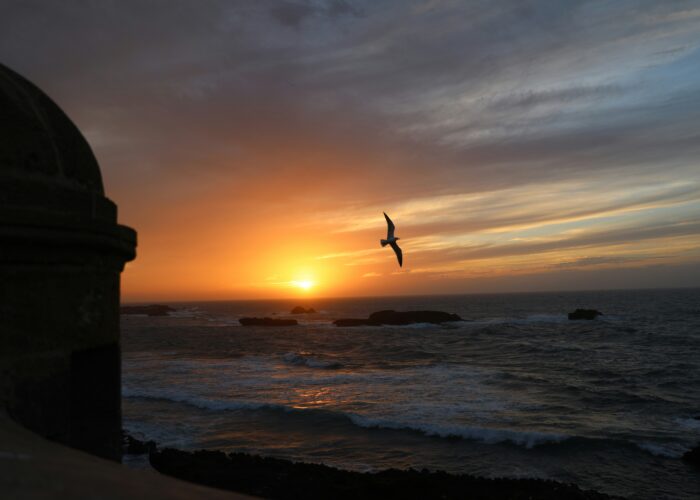 Essaouira to Marrakech Private Transfer
