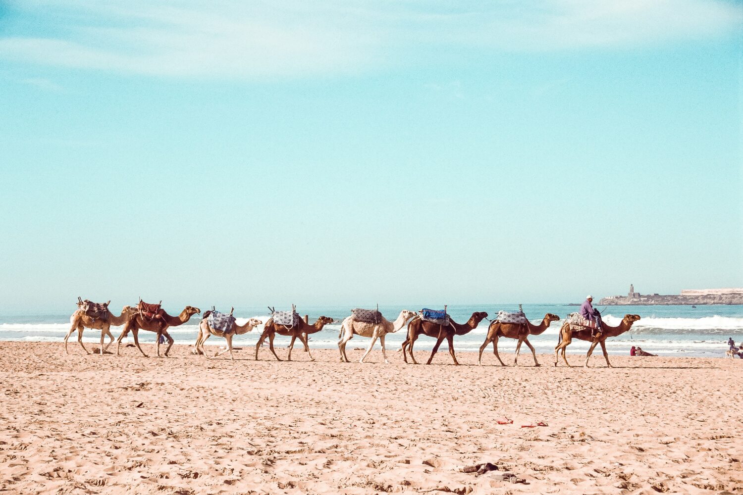 Private Marrakech Transfers & Taxi Services in Morocco
