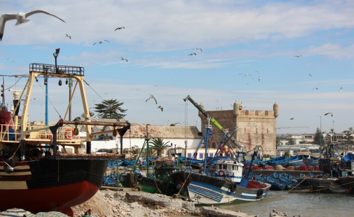 Marrakech to Essaouira Private transfer