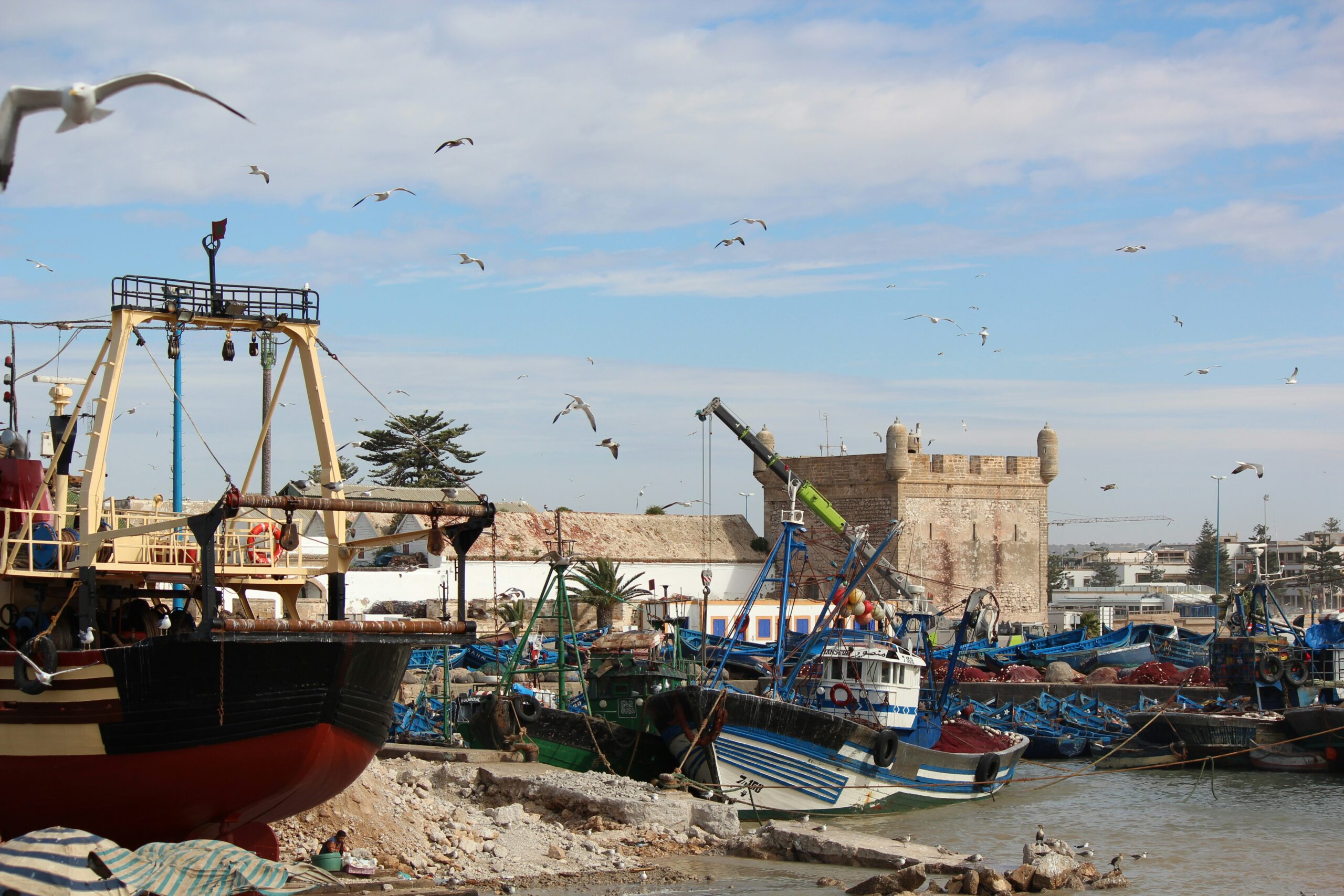 Marrakech to Essaouira Private transfer