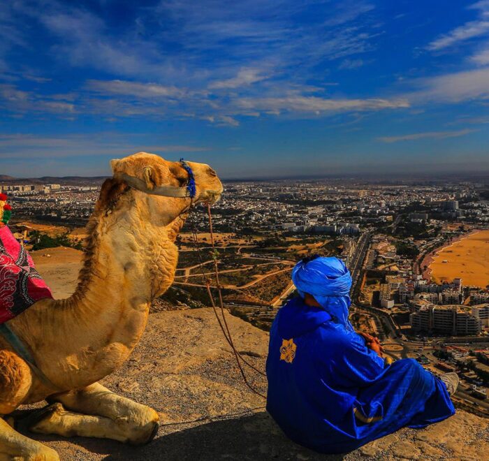 Marrakech to Agadir Private Day Trip - Marrakech-Taxi-Transfer