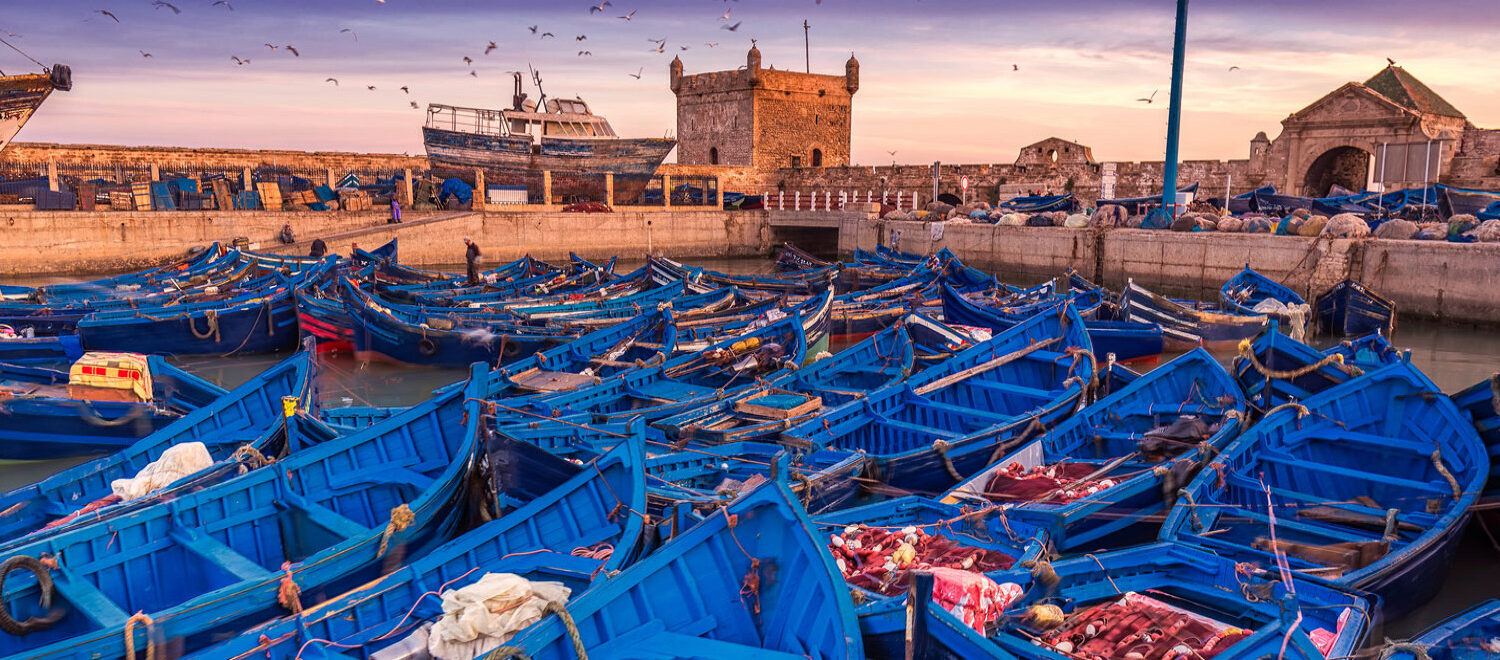 Marrakech to Essaouira Private Day Trip