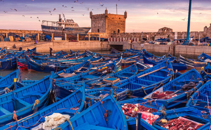 Marrakech to Essaouira Private Day Trip