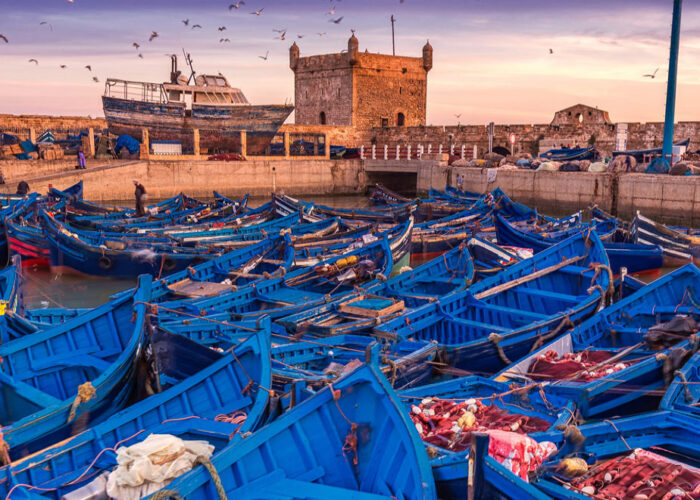 Marrakech to Essaouira Private Day Trip
