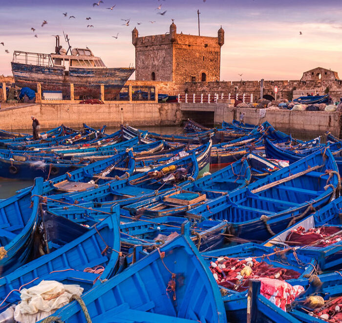 Marrakech to Essaouira Private Day Trip